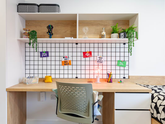 Bronze Studio room type